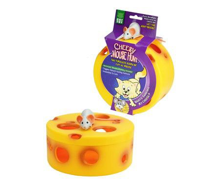Cheesy mouse hunt Cheesy mouse hunt