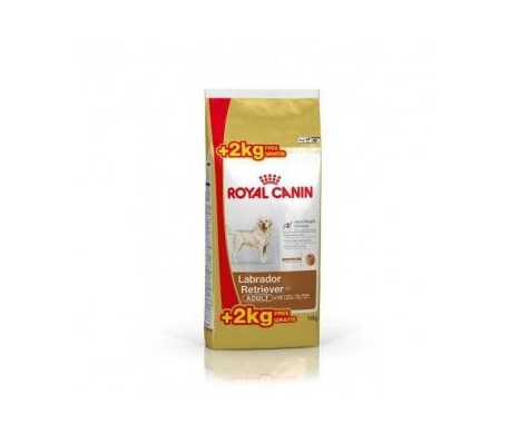 Royal canin Labrador Adult - 12+2kg Royal canin Labrador Adult - 12+2kg