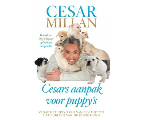 Cesars aanpak voor puppy's Cesars aanpak voor puppy's