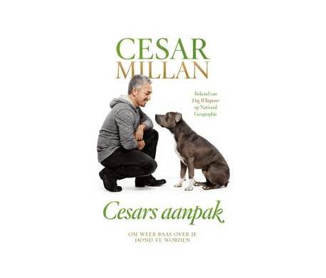 Cesars Aanpak Cesars Aanpak