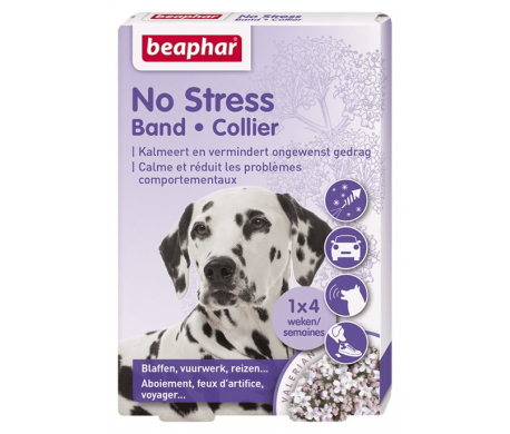 No Stress band - Hond