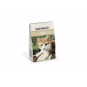 Catnip in doosje - 20g
