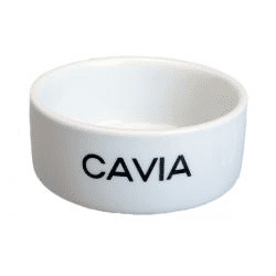 Stenen Voerbak Cavia - Wit