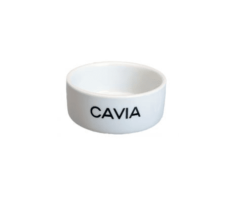 Stenen voerbak cavia wit Stenen voerbak cavia wit