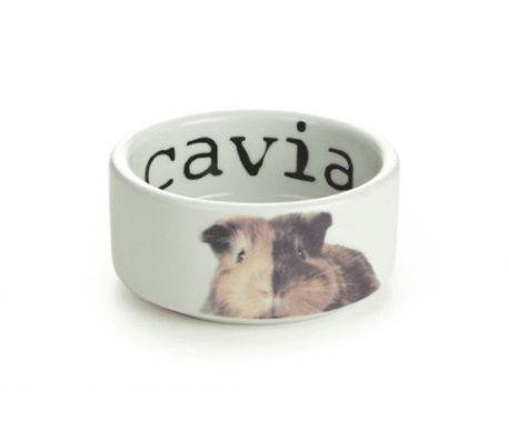 Voerbak Snapshot Cavia Voerbak Snapshot Cavia