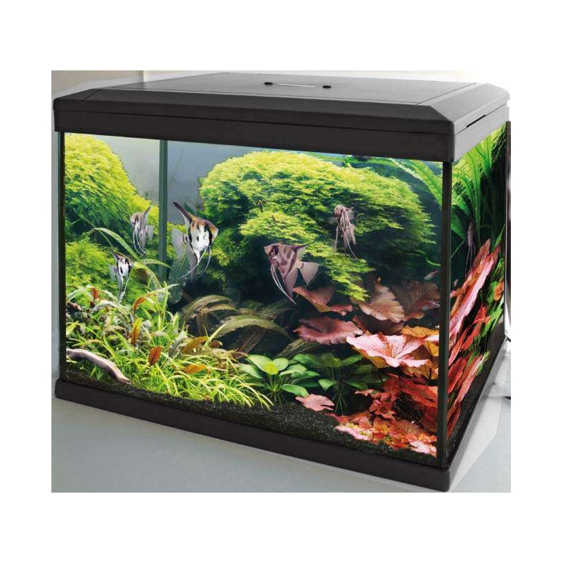 SuperFish Aquarium Expert 30 kopen? Dierenverblijf com SuperFish Aquarium Expert 30 kopen? Dierenverblijf com