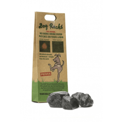 Dog Rocks 