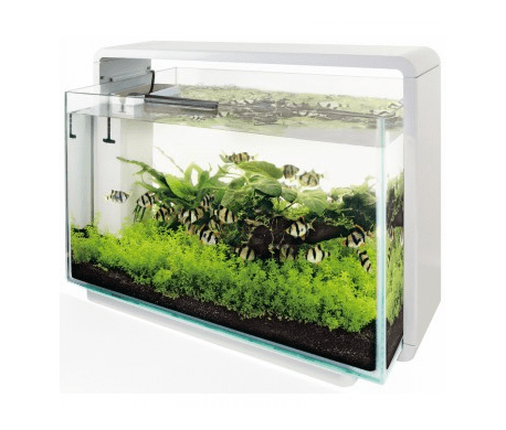 Superfish Home 60 Wit Superfish Home 60 Wit