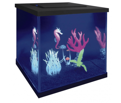 SuperFish Fluo aquarium SuperFish Fluo aquarium
