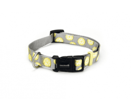 Nylon Halsband Lemon Nylon Halsband Lemon