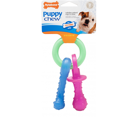Nylabone puppy sleutels Nylabone puppy sleutels