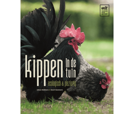 Kippen in de tuin