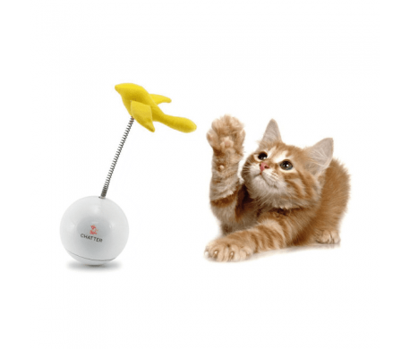 FroliCat Chatter FroliCat Chatter