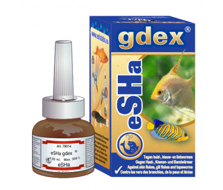 eSHa gdex eSHa gdex