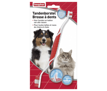 Honden/katten Tandenborstel Honden/katten Tandenborstel