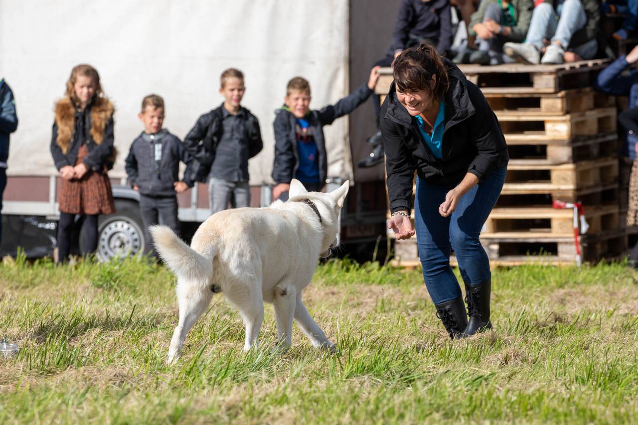 dierendag (13).jpg