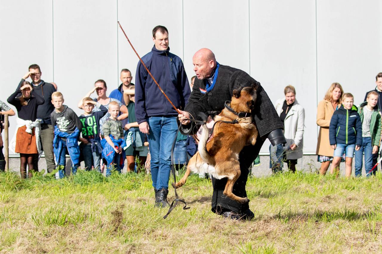 dierendag (14).jpg