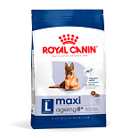 Royal Canin Hondenvoer Maxi Ageing 8+ 3 kg