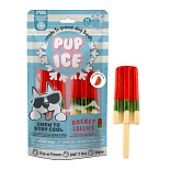 Pup Ice Hondenijsje Raket Watermeloen 2 st