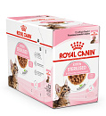 Royal Canin Kattenvoer Kitten Sterilised Gravy 12 x 85 gr