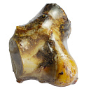 Runderknokkel <br>ca. 14 cm