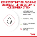 Royal Canin Kattenvoer Babycat Milk 300 gr