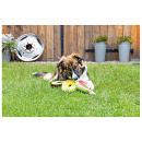 Beeztees Hondenspeelgoed Fruity Donuts Assorti