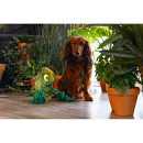 Beeztees Hondenspeelgoed Jungle Kodi