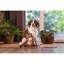 Beeztees Hondenspeelgoed Jungle Giraf