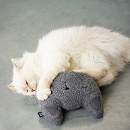 D&D I Love Happy Cats Trappelkussen Zoran Grijs