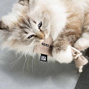 D&D I Love Happy Cats Zakje met Kruidenmix