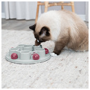 TRIXIE cat activity Pentagon