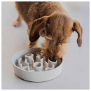 District 70 Slow Feeder Merengue