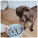 District 70 Slow Feeder Ice Blue