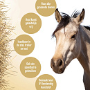 Excellent Hay Slowfeeder Fun and Flex Bal Groen