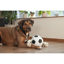 Beeztees Voetbal met Touw