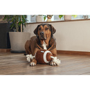 Beeztees Rugbybal met Touw