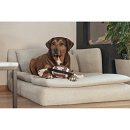 Beeztees Action Rugbybal met Touw Bruin