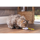 Beeztees Kittenspeelgoed Hide and Seek Iris