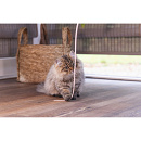 Beeztees Kittenhengel Sienna