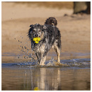 Beeztees Fetch Foam Atoom Geel