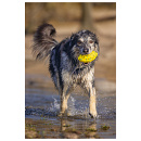 Beeztees Fetch Foam Rugbybal Algo Geel