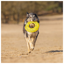 Beeztees Fetch Foam Frisbee Gisa Geel