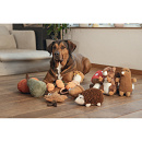 Beeztees Hondenspeelgoed Egel Spike