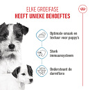 Royal Canin Hondenvoer Starter Mousse 195 gr