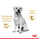 Royal Canin Hondenvoer Labrador Adult 10 x 140 gr