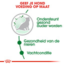 Royal Canin Hondenvoer Mini Ageing 12+ 1.5 kg