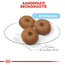 Royal Canin Hondenvoer Maxi Starter 4 kg