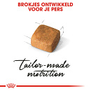 Royal Canin Kattenvoer Persian Kitten 4 kg