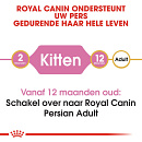 Royal Canin Kattenvoer Persian Kitten 2 kg